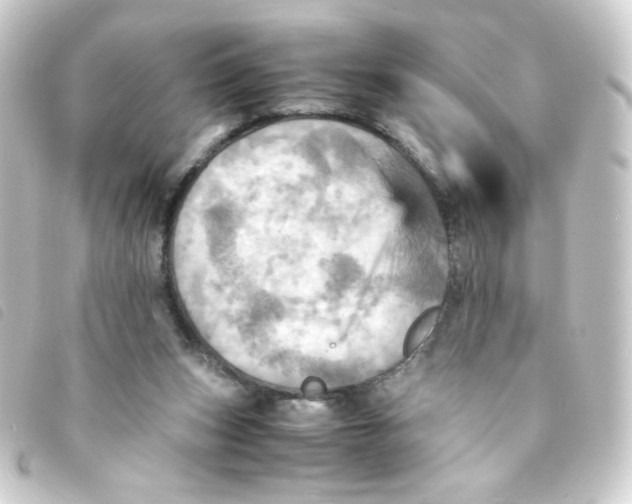 X0000093240159200710241302