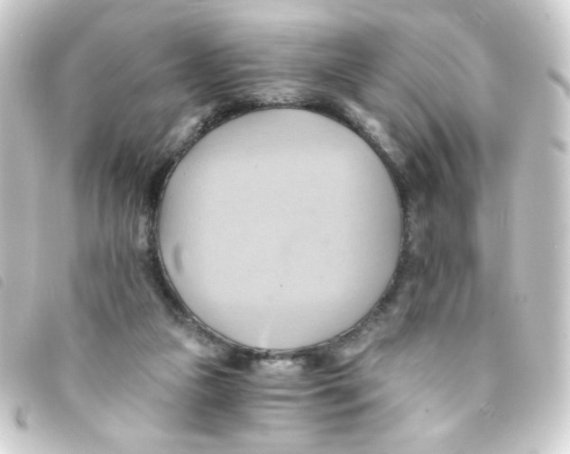 X0000093240161200710241302