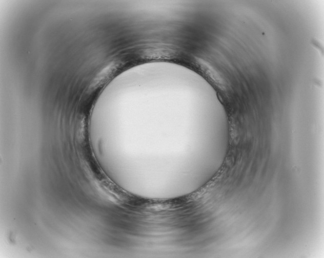 X0000093240163200710241302