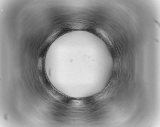 X0000093240167200710241302