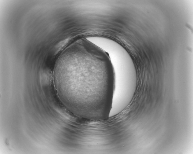 X0000093240168200710241302