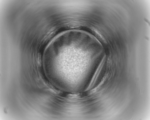 X0000093240170200710241302