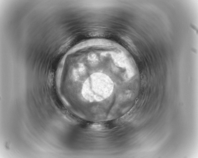 X0000093240171200710241302