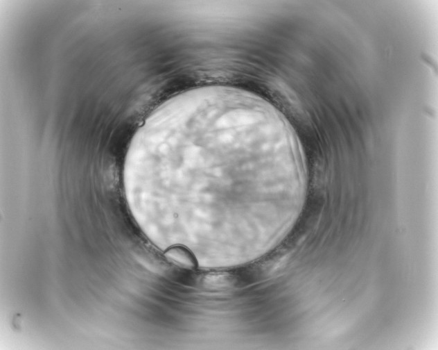 X0000093240173200710241302