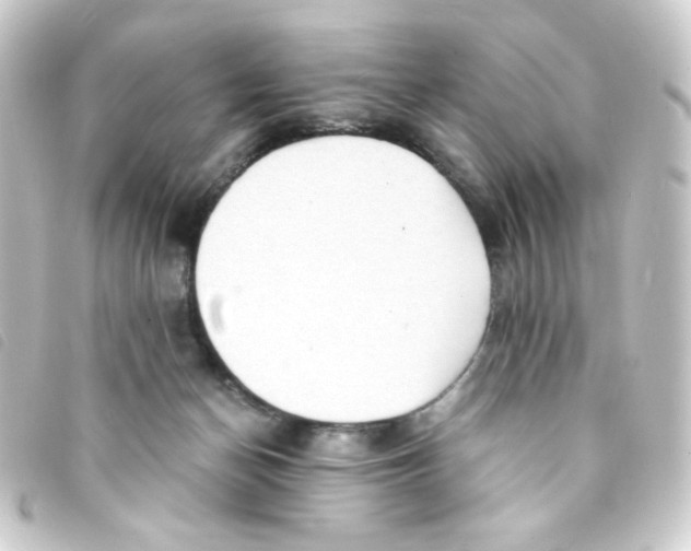 X0000093240174200710241302