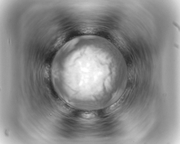 X0000093240175200710241302