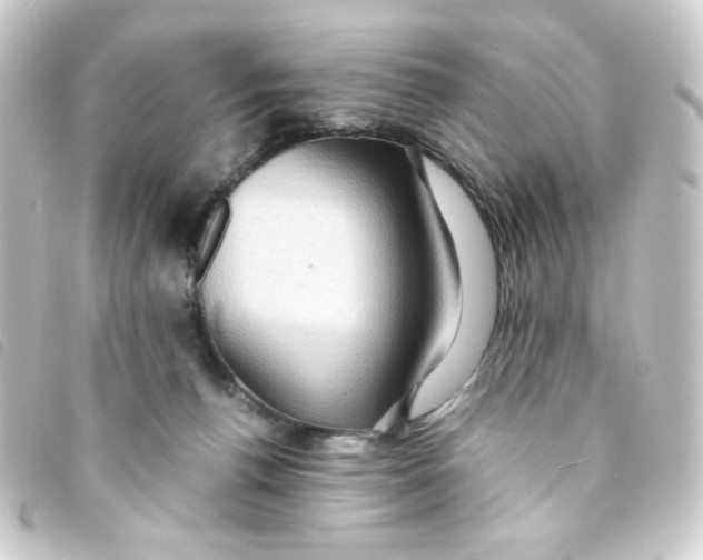 X0000093240176200710241302