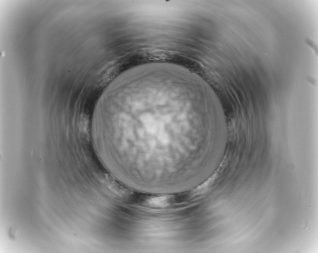 X0000093240178200710241302