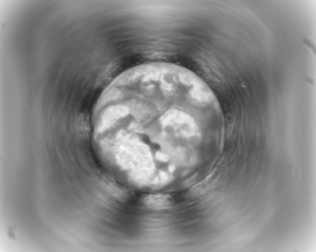 X0000093240179200710241302