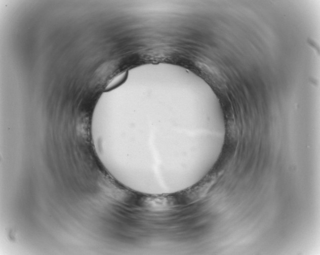 X0000093240181200710241302