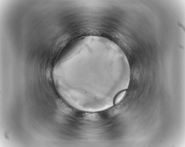 X0000093240185200710241302