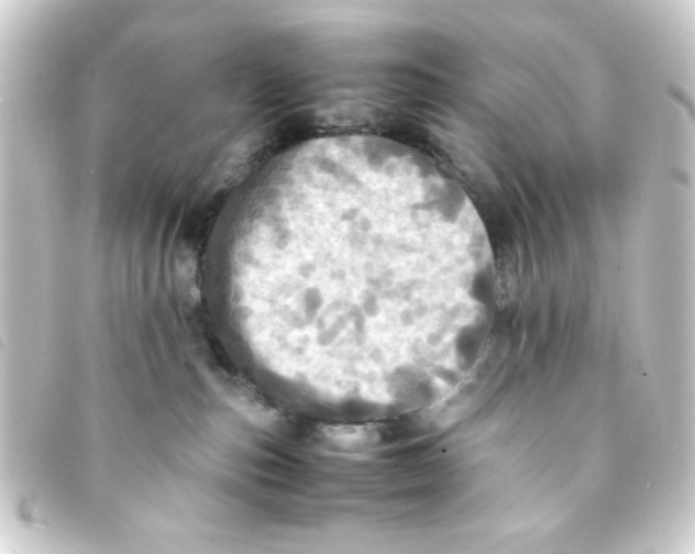 X0000093240187200710241302