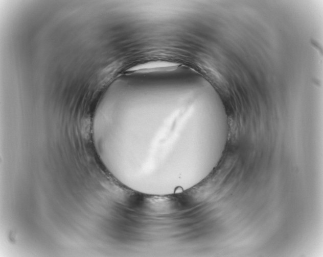 X0000093240189200710241302