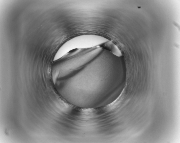 X0000093240192200710241302