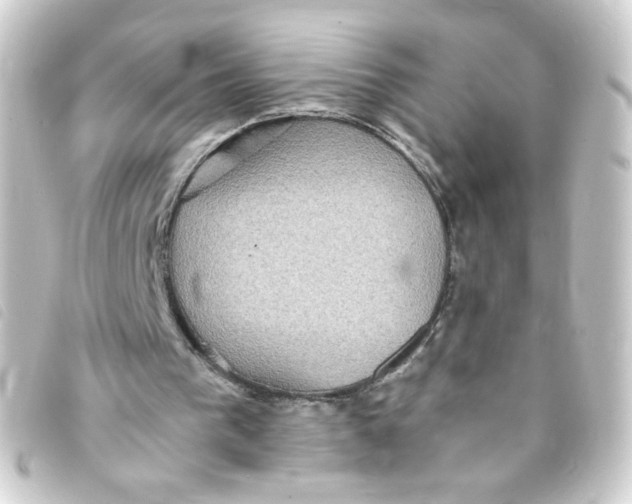 X0000093240193200710241302