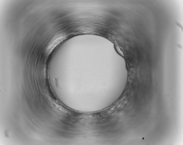 X0000093240194200710241302