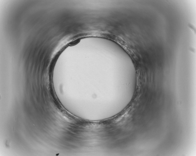 X0000093240198200710241302