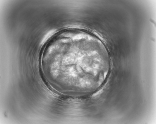 X0000093240199200710241302