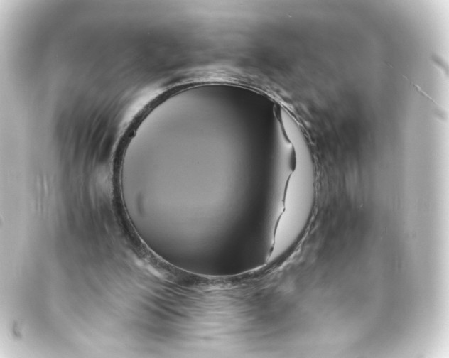 X0000093240200200710241302