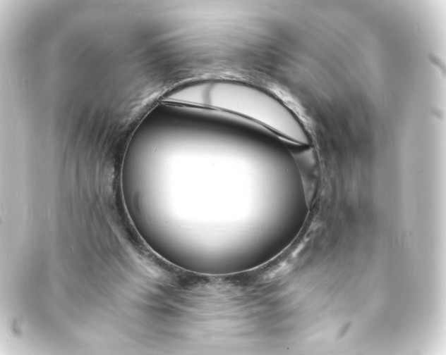 X0000093240201200710241302