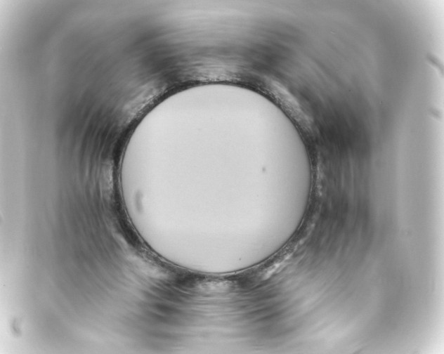 X0000093240202200710241302