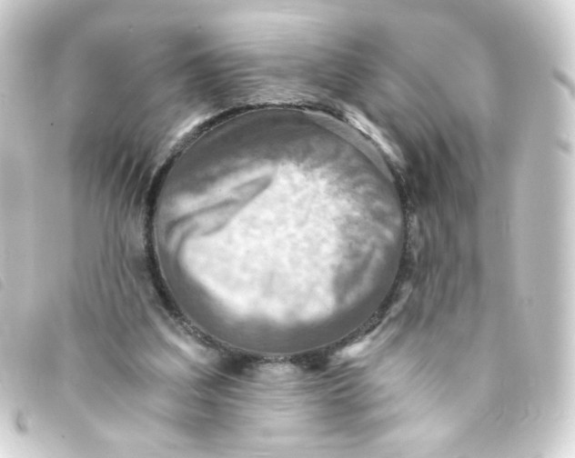 X0000093240203200710241302