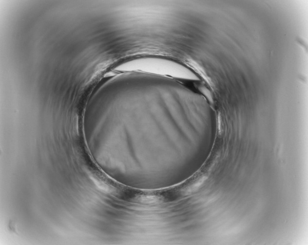 X0000093240205200710241302