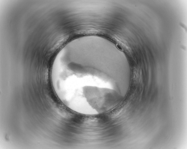 X0000093240206200710241302