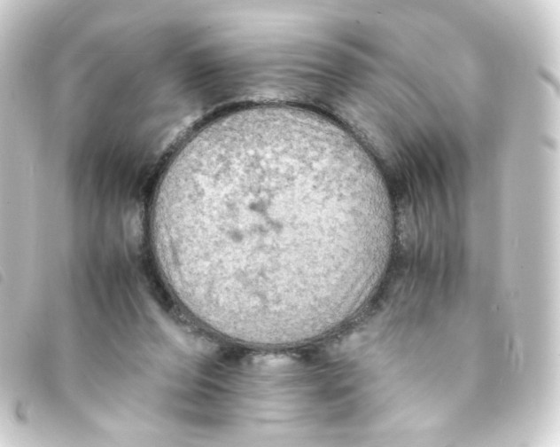 X0000093240208200710241302