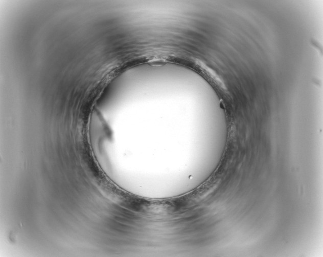 X0000093240209200710241302