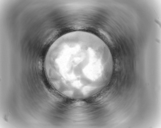 X0000093240210200710241302