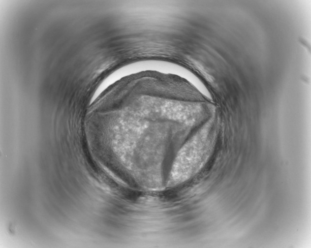 X0000093240211200710241302