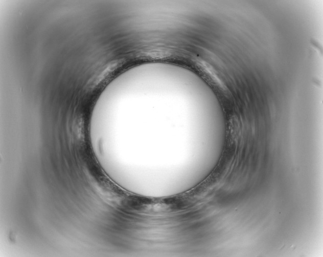 X0000093240212200710241302