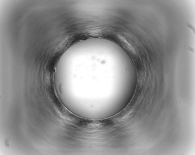 X0000093240213200710241302