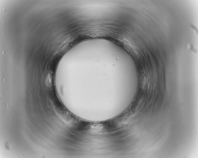 X0000093240214200710241302