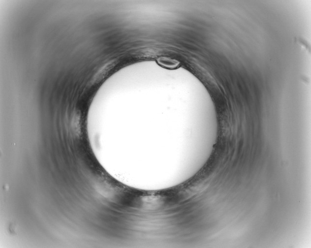 X0000093240216200710241301