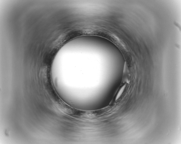 X0000093240217200710241301