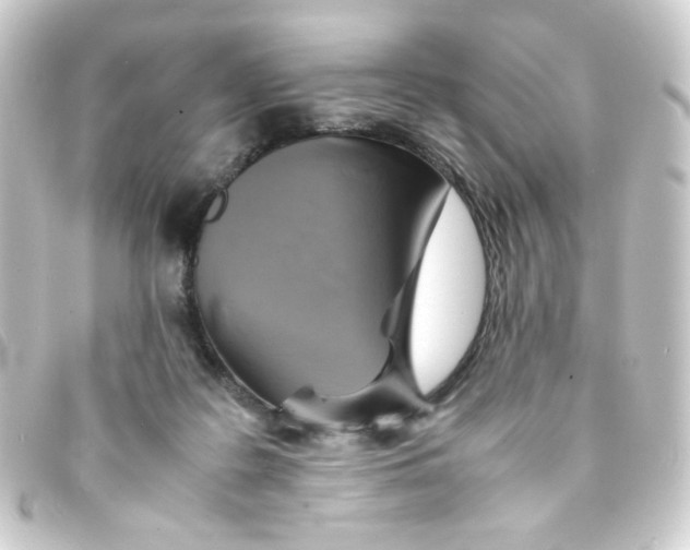 X0000093240219200710241301