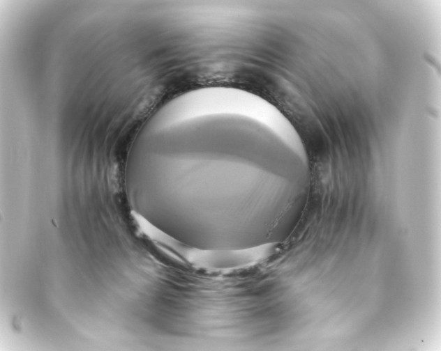 X0000093240224200710241301