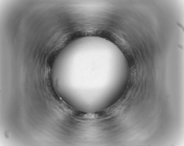 X0000093240225200710241301