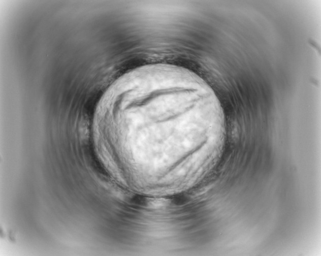 X0000093240226200710241301