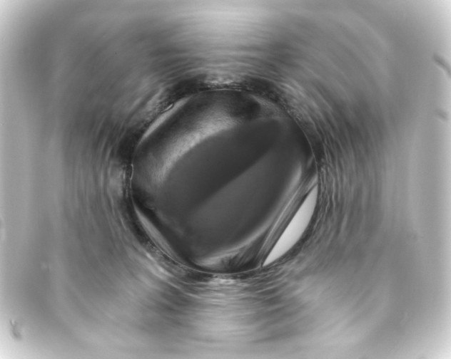 X0000093240227200710241301