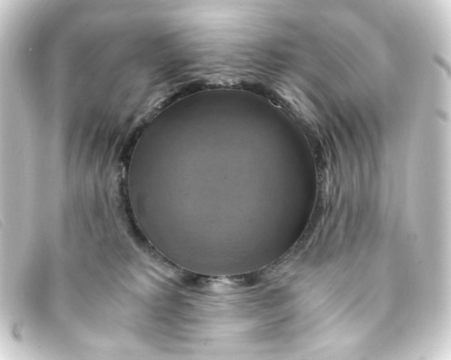 X0000093240229200710241301