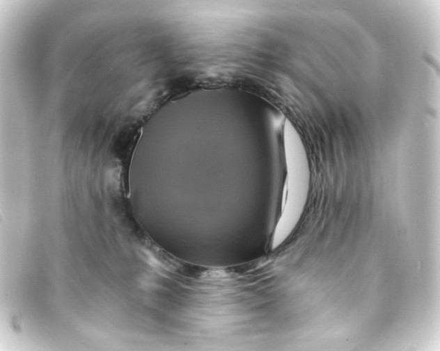 X0000093240231200710241301