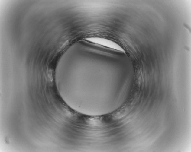 X0000093240232200710241301