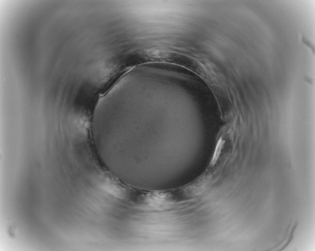 X0000093240235200710241301