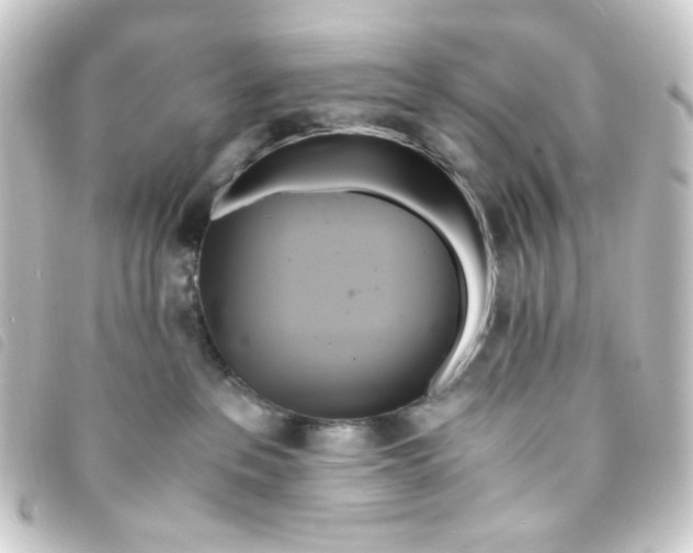 X0000093240237200710241301