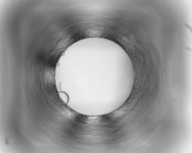 X0000093240240200710241301