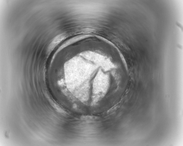 X0000093240242200710241301