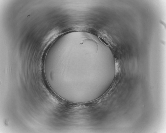 X0000093240243200710241301